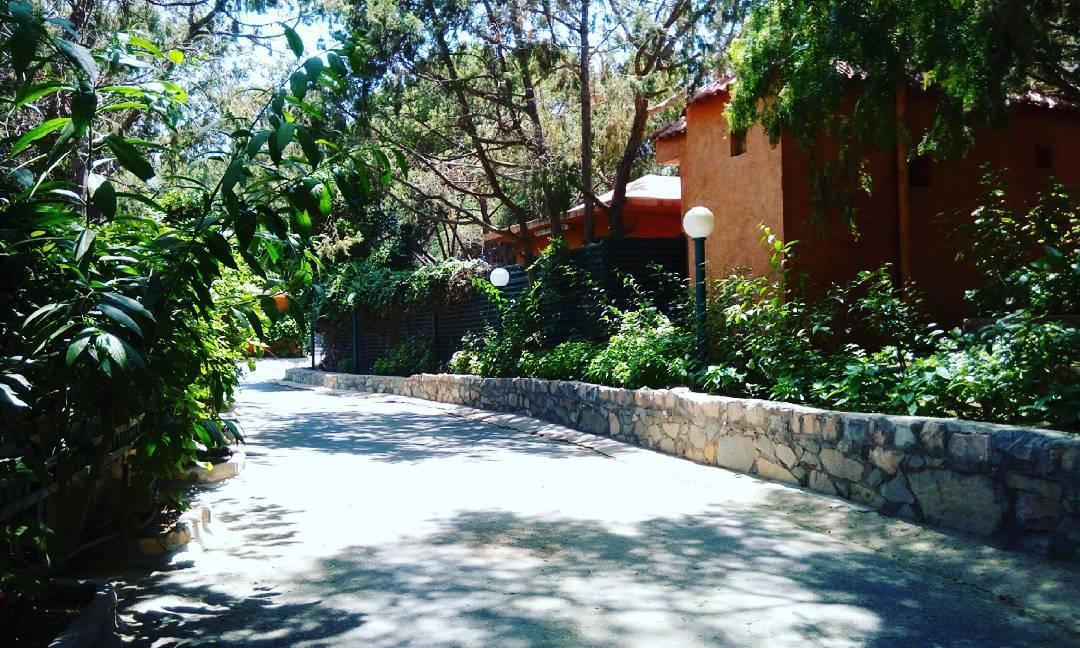 Sadeem Village & Chalet Ash Shafā 외부 사진